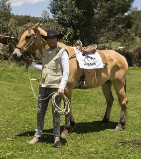 Cusco Andes Horseback Riding Tour for Nature Lovers